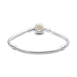 590741CZ_2