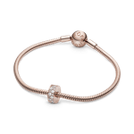 781817CZ_5