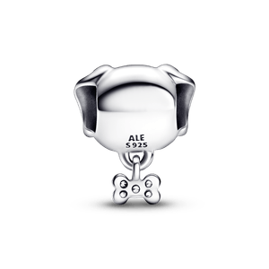 Charm Perro Mascota y Hueso