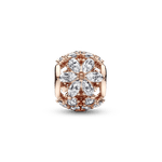 782383C01_2