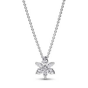 Collar con Pendiente Racimo Herbario Reluciente Pandora Plata Esterlina