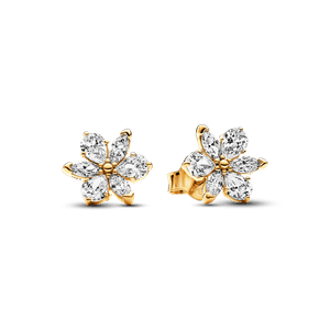 Aretes de Botón Herbario Brillante