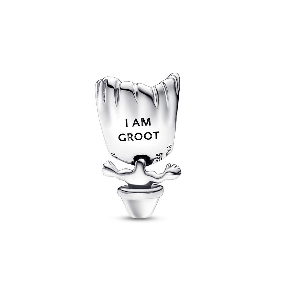 imageProduct