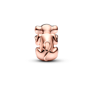 Charm Nala El Rey León de Disney