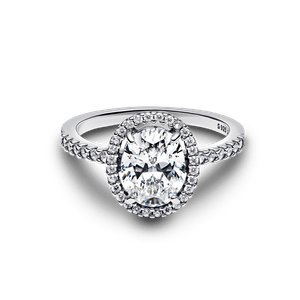 Anillo Halo Ovalado Brillante Plateado